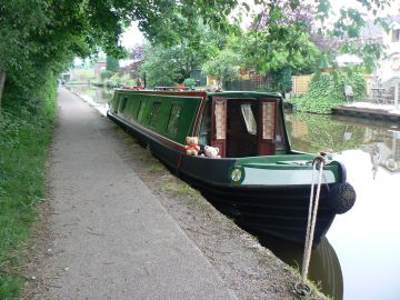 Willow from front
