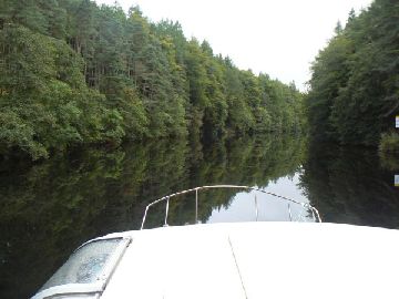 Reflections in Laggan Avenue
