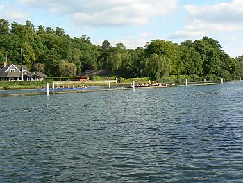 Rowing at Henley