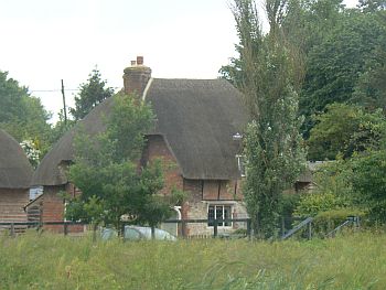Thatched cottages